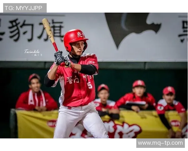 双色球专家分析与对比揭示中奖规律与技巧的深度探讨