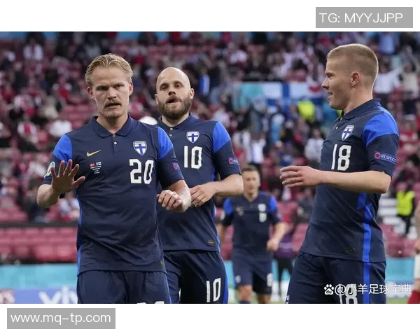 波黑对阵荷兰精彩直播全程回顾与赛后分析