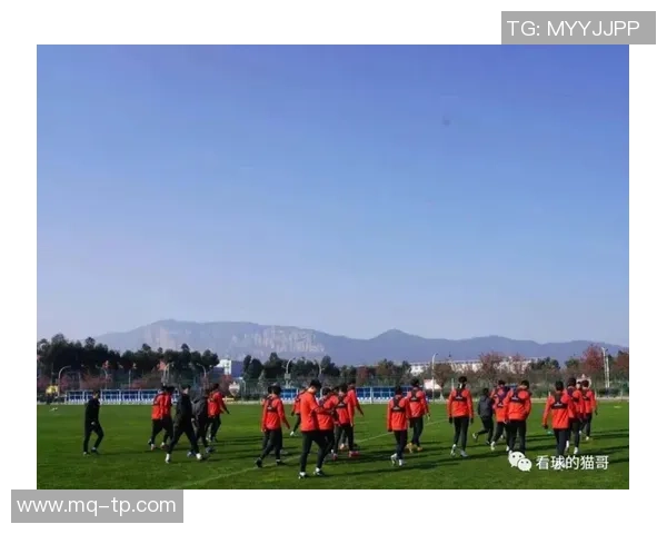 深圳乒乓球队灵活性分析与其他城市球队的对比研究