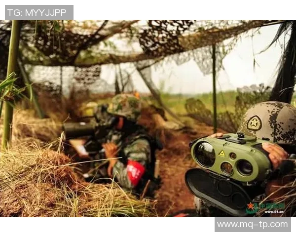 上海篮球队灵活性分析与战术创新探索之旅