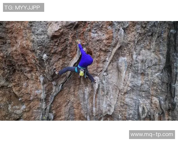 攀岩精神与团队协作：上海攀岩队的成功之道与经验分享